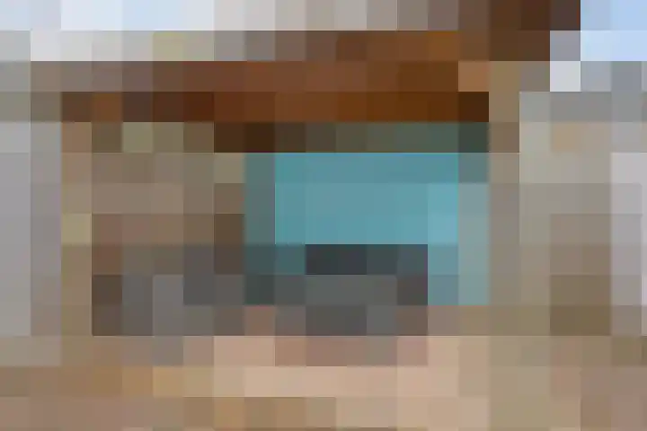 Goudplevier 151 Oss thumbnail 22