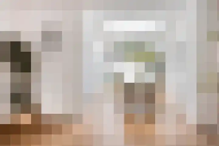 Goudplevier 151 Oss thumbnail 23