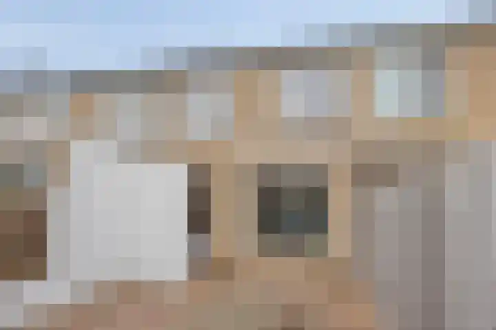 Goudplevier 151 Oss thumbnail 23