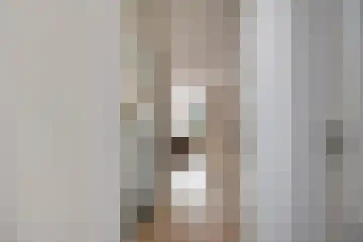 Goudplevier 151 Oss thumbnail 9