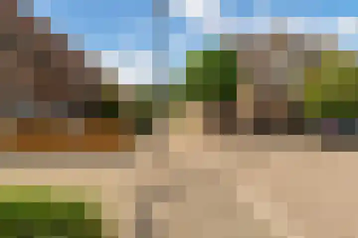 Goudplevier 38 Waspik thumbnail 13