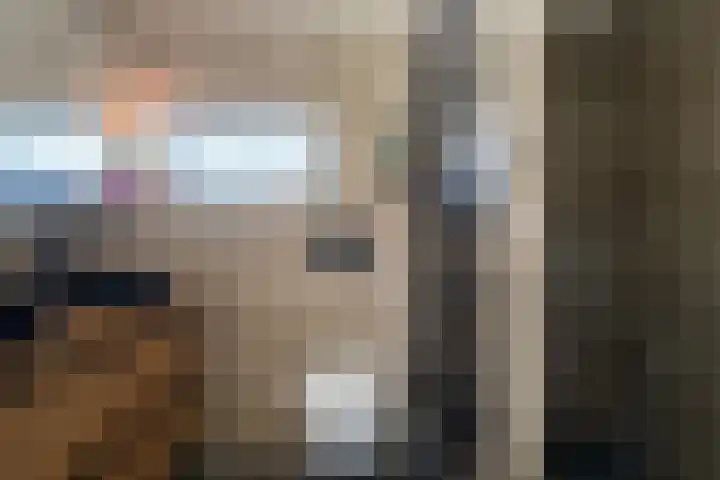 Goudplevier 38 Waspik thumbnail 30