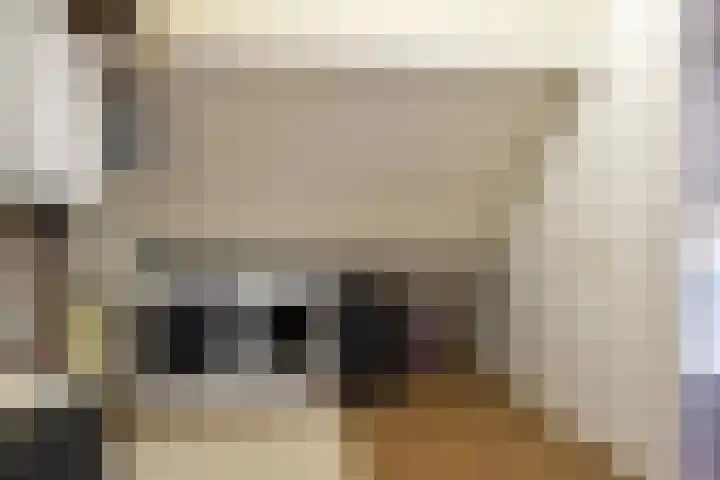 Goudplevier 38 Waspik thumbnail 34