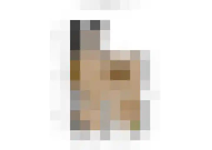 Goudplevier 38 Waspik thumbnail 37