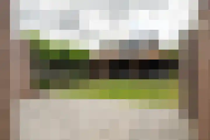 Goudplevier 38 Waspik thumbnail 4