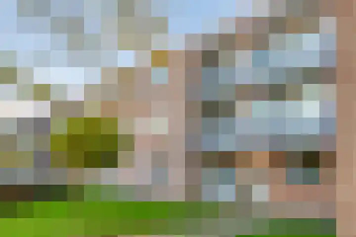 Goudplevier 69 IJsselstein thumbnail 10