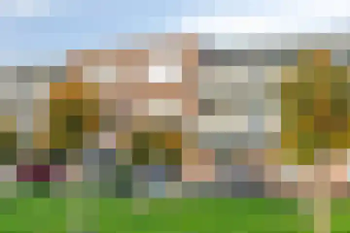 Goudplevier 69 IJsselstein thumbnail 33