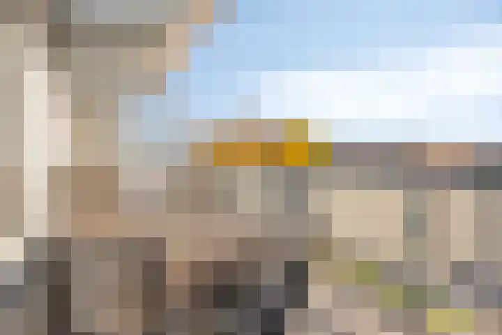 Goudplevier 69 IJsselstein thumbnail 4