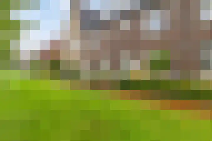 Goudreinet 16 in Nijkerk