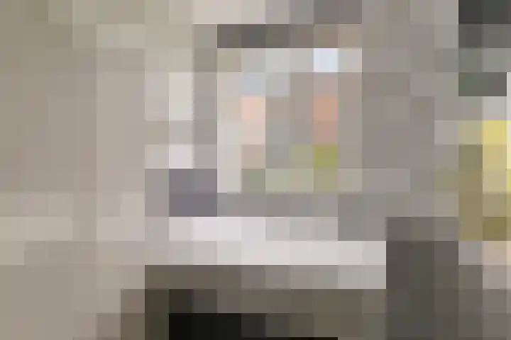 Goudreinet 16 Nijkerk thumbnail 20