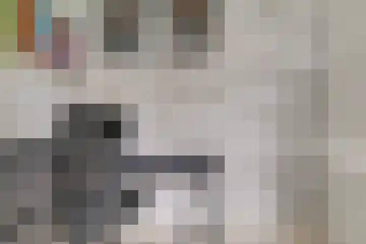 Goudreinet 16 Nijkerk thumbnail 21