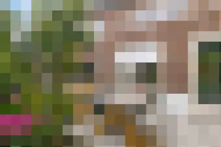 Goudreinet 16 Nijkerk thumbnail 33