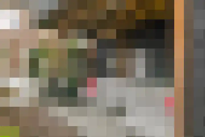 Goudreinet 16 Nijkerk thumbnail 36