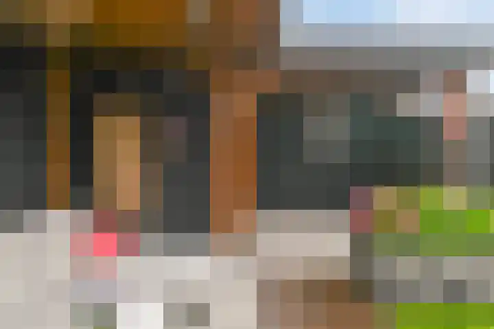 Goudreinet 16 Nijkerk thumbnail 38