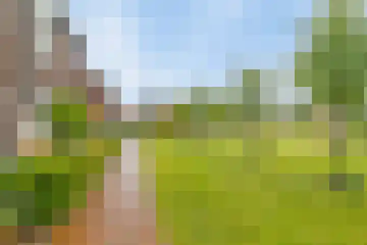 Goudreinet 16 Nijkerk thumbnail 41