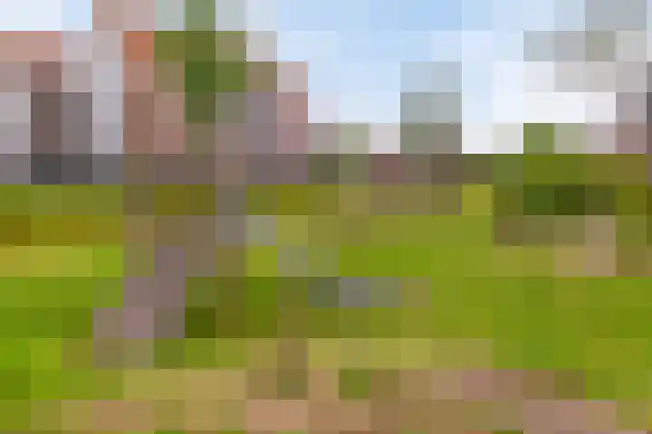 Goudreinet 16 Nijkerk thumbnail 42