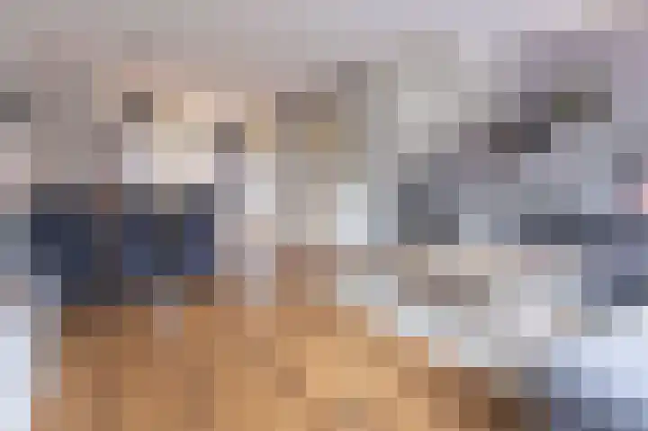 Goudreinet 18 Andijk thumbnail 11