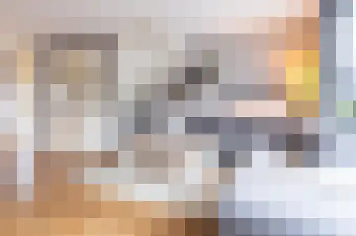 Goudreinet 18 Andijk thumbnail 13