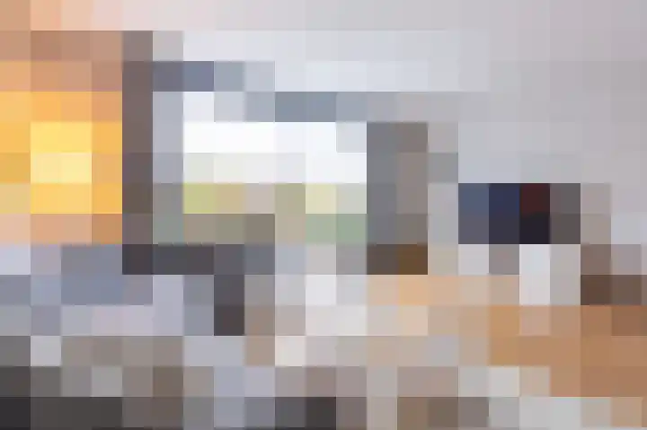 Goudreinet 18 Andijk thumbnail 14