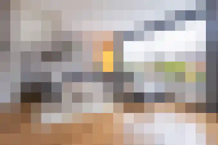Goudreinet 18 Andijk thumbnail 15