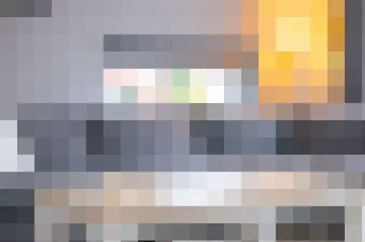 Goudreinet 18 Andijk thumbnail 16