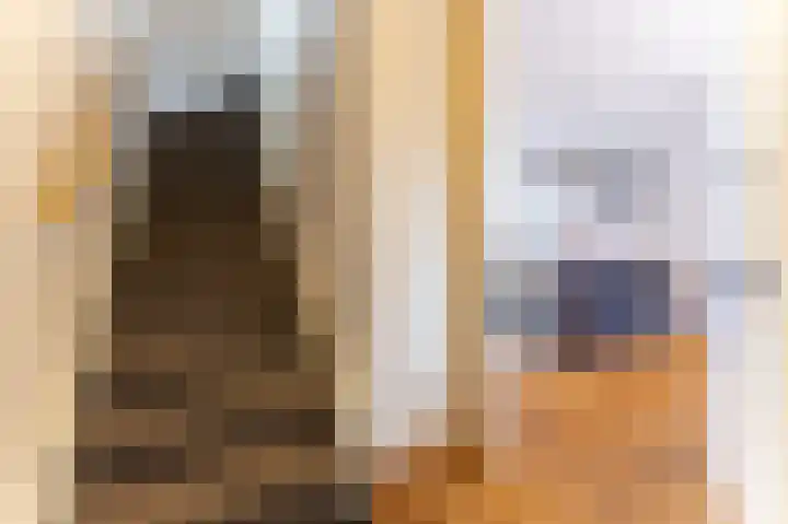 Goudreinet 18 Andijk thumbnail 18