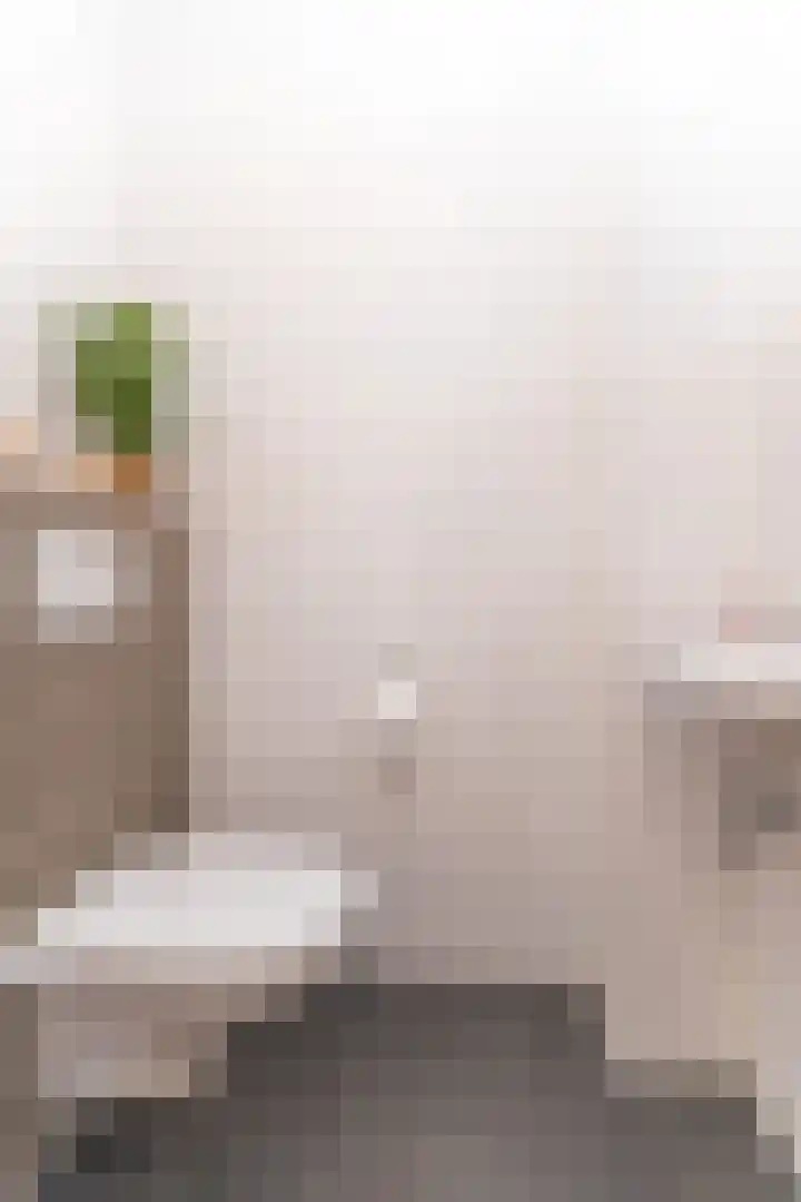 Goudreinet 18 Andijk thumbnail 20