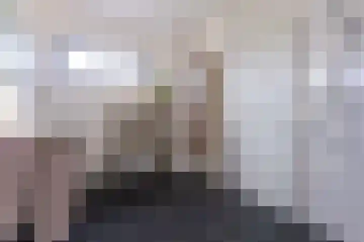 Goudreinet 18 Andijk thumbnail 21