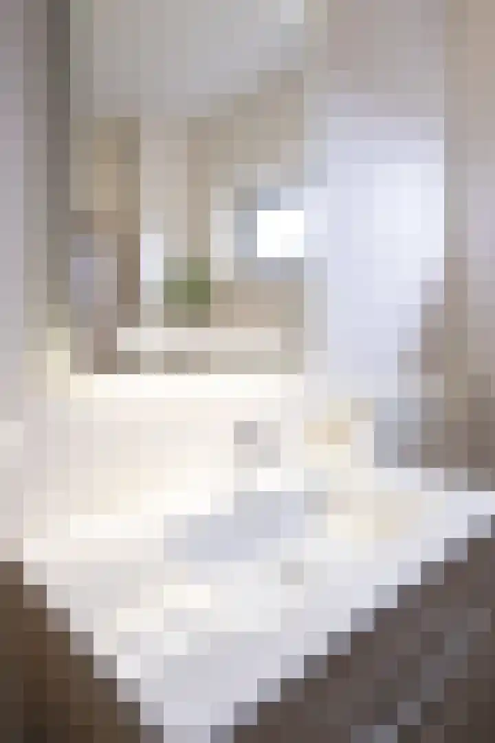 Goudreinet 18 Andijk thumbnail 24