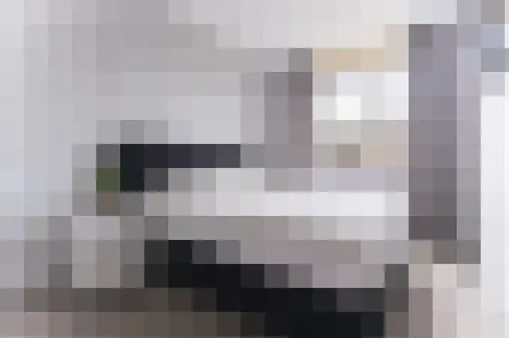 Goudreinet 18 Andijk thumbnail 25