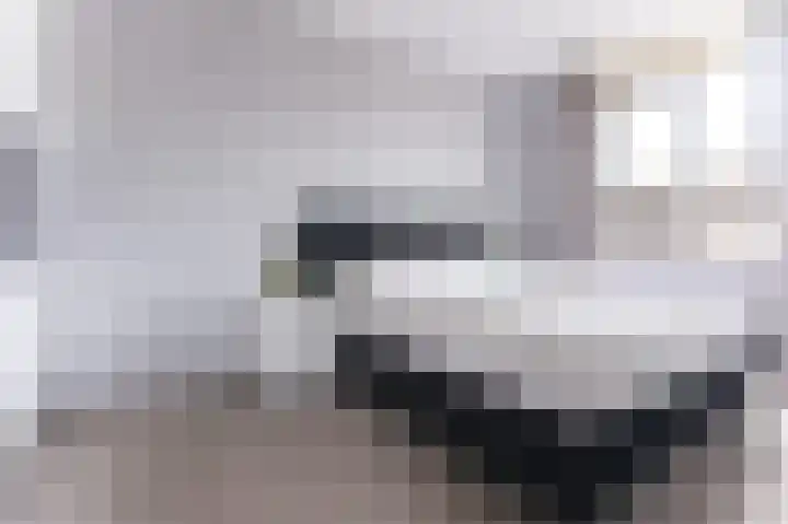 Goudreinet 18 Andijk thumbnail 26