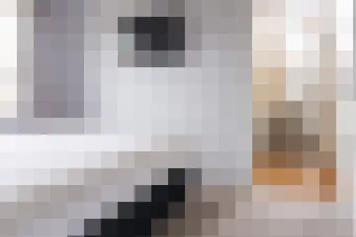 Goudreinet 18 Andijk thumbnail 28