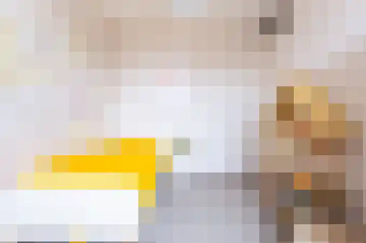 Goudreinet 18 Andijk thumbnail 29