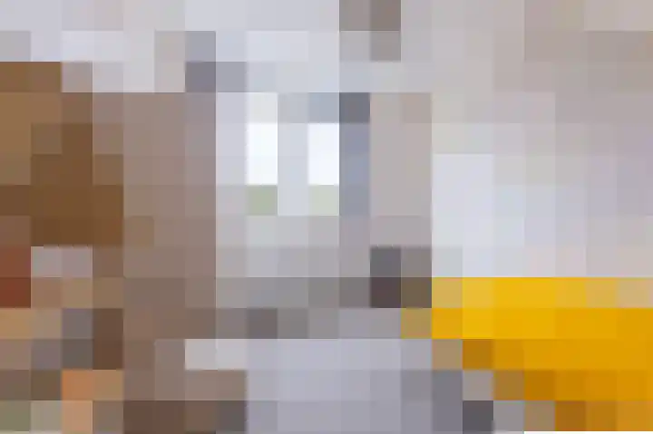 Goudreinet 18 Andijk thumbnail 30