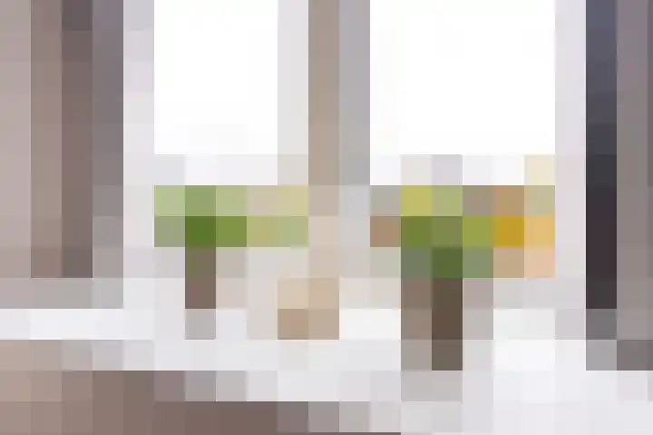 Goudreinet 18 Andijk thumbnail 31