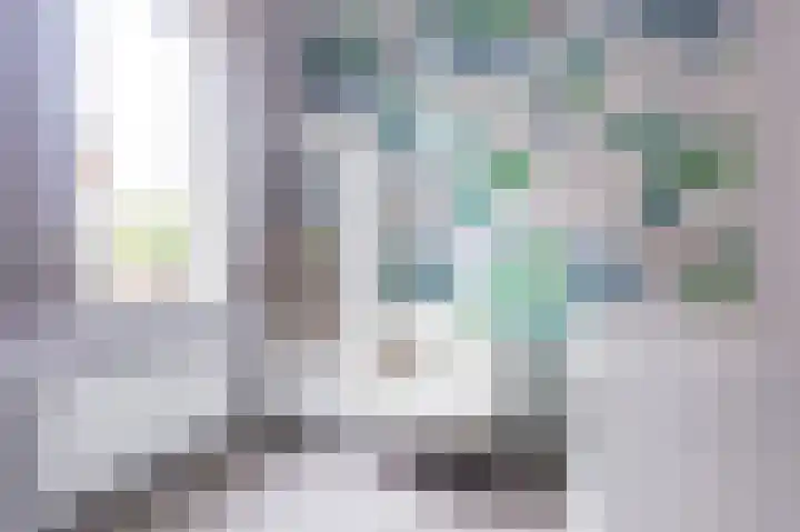 Goudreinet 18 Andijk thumbnail 32