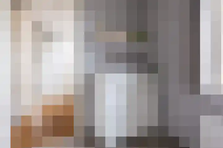 Goudreinet 18 Andijk thumbnail 33