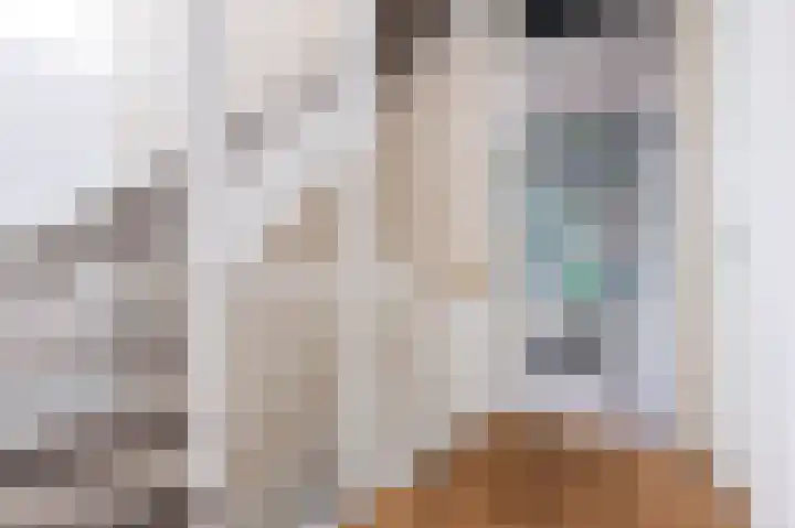 Goudreinet 18 Andijk thumbnail 34