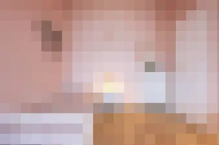 Goudreinet 18 Andijk thumbnail 38