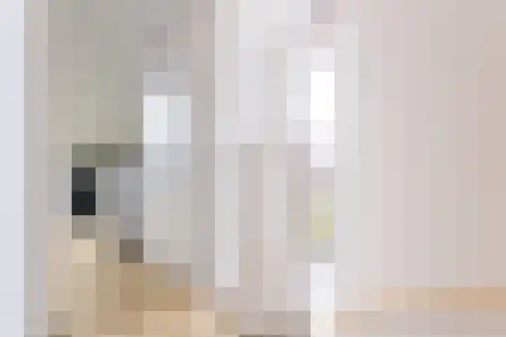Goudreinet 18 Andijk thumbnail 40