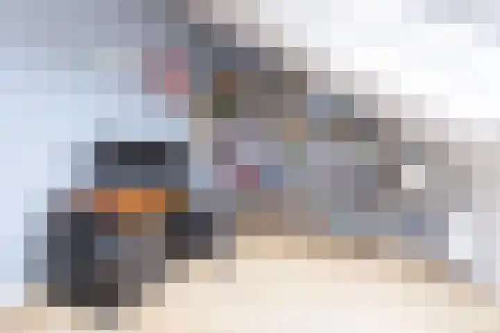 Goudreinet 18 Andijk thumbnail 42