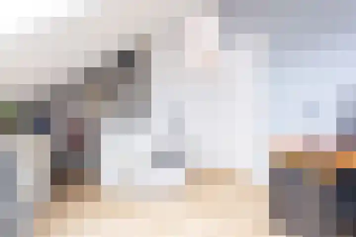 Goudreinet 18 Andijk thumbnail 43