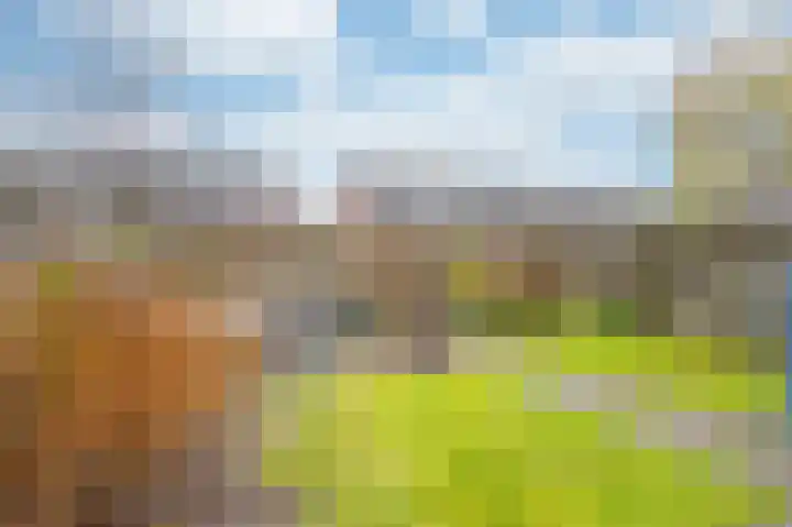 Goudreinet 18 Andijk thumbnail 44