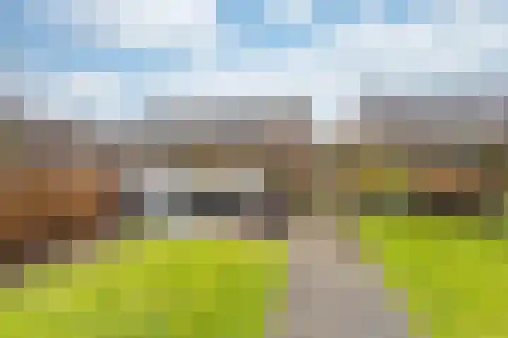 Goudreinet 18 Andijk thumbnail 45