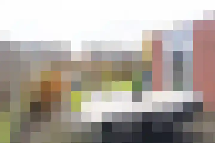 Goudreinet 18 Andijk thumbnail 46