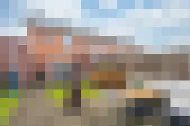 Goudreinet 18 Andijk thumbnail 47