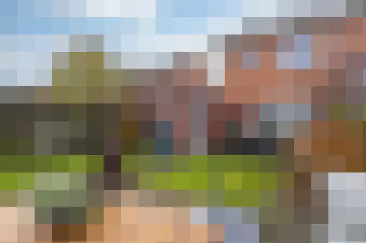 Goudreinet 18 Andijk thumbnail 48