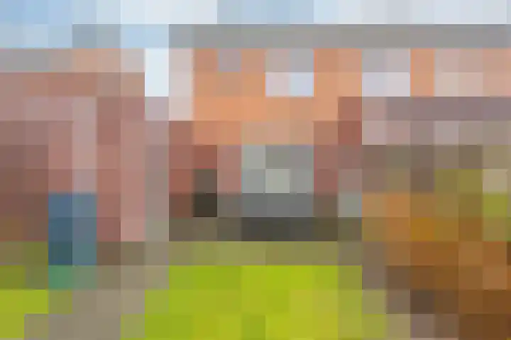 Goudreinet 18 Andijk thumbnail 49