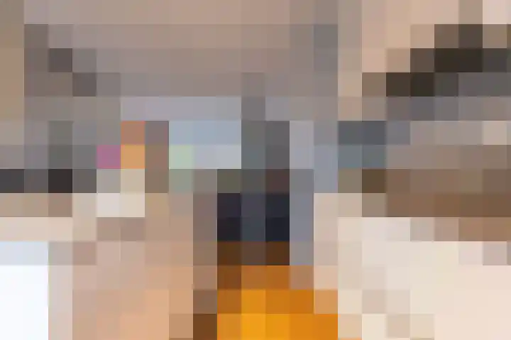 Goudreinet 18 Andijk thumbnail 6