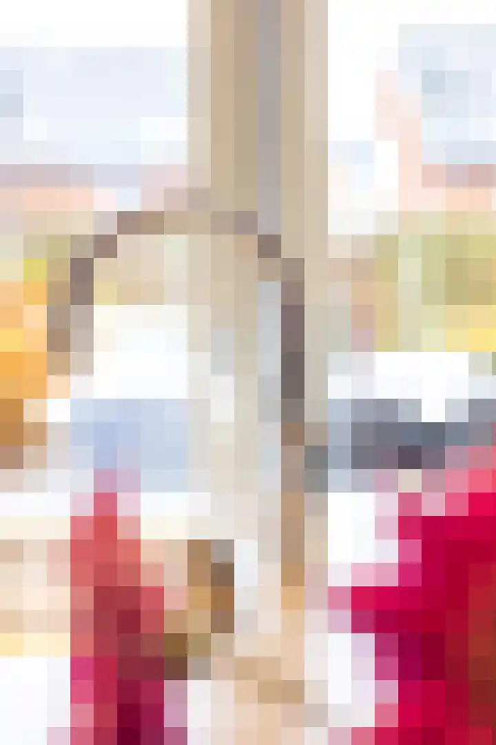 Goudreinet 18 Andijk thumbnail 7